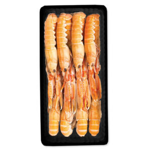 ŠKAMPI 21-30 1 kg 25%GL.MACDUFF